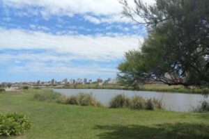 Abren nuevo llamado a licitación para la creación del Parque Ambiental en Punta Mogotes