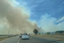 Incendio forestal en Villa Gesell y protegen Cariló: trabajan siete dotaciones de bomberos trabajan