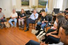 Incorporan terapia asistida con perros en el Hospital de Niños de Tandil