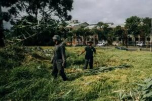 Retiraron 14 toneladas de residuos en un terreno baldío de la avenida Juan B. Justo