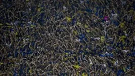 Ameal, molesto por la clausura en Boca: «Hay algo raro, tiene que ver con la política del club»