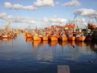 Las exportaciones pesqueras cayeron 8,4% en el 2022