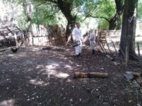 Detectan gripe aviar en Azul y ya son cuatro los municipios bonaerenses con casos