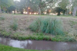 Se realizaron tareas de limpieza en el Arroyo La Tapera