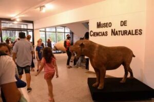 Cerca de 10.000 personas participaron de la 8ª Noche de los Museos y las Galerías de Arte