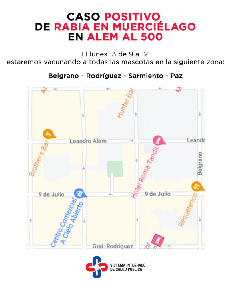 Tandil: Hoy se realizará un operativo especial de vacunación por el hallazgo de un murciélago con rabia