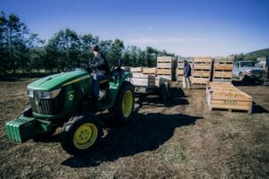 Convocan a productores locales interesados en exportar sus productos o servicios a Miami