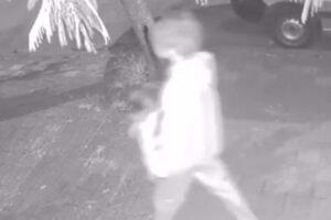 Conmoción en Parque Luro por un joven que asesina mascotas