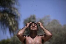 Calor: sigue el alerta en varios distritos y cuatro ciudades de la provincia tuvieron las marcas más altas a nivel país