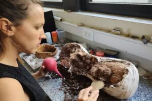 Dos niños fueron parte de un nuevo rescate paleontológico en la ciudad