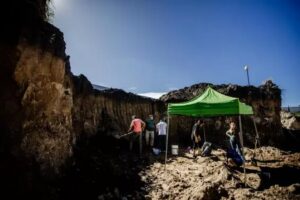 Trabajan para recuperar los restos fósiles del gliptodonte hallado en Plaza España