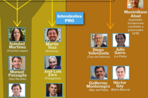 Implosión del PRO: Devotos y profanos; El caso Montenegro