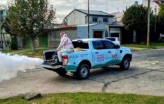 Dengue: ya se registraron casos autóctonos en unos 27 municipios bonaerenses