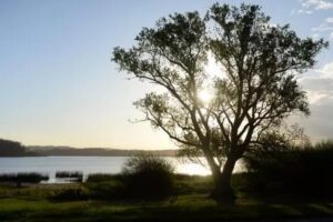 Repararon accesos y engranzaron más de 70 cuadras en Laguna de los Padres