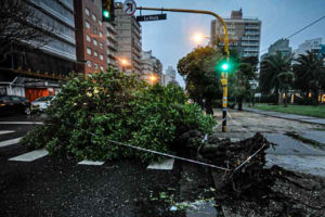 Para Mar del Plata el pampero es como un huracán: caen árboles, semáforos y un mástil
