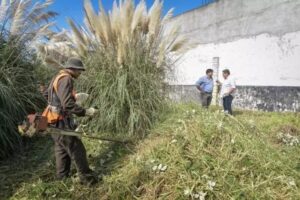 En cuatro meses, retiraron más de 85 toneladas de residuos en terrenos privados