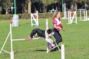 Las familias y sus mascotas disfrutaron a pleno de un domingo ideal