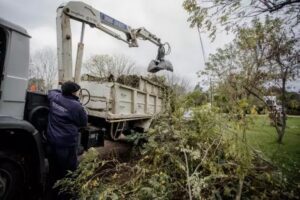 La Delegación Puerto limpió microbasurales y retiró más de 200 toneladas de residuos