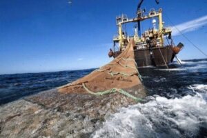 Argentina es el primer país en regular el marcado de las artes de pesca de arrastres