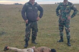 Hallaron escondido en un campo a un remisero de Villa Gesell que intentó matar a su mujer