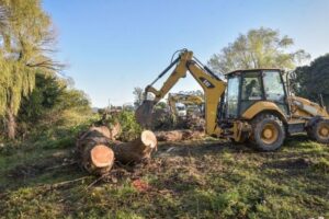 Retiraron un árbol que entorpecía la normal circulación del agua en el arroyo La Tapera