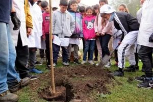 Destacan las acciones realizadas en el marco del Plan Forestar