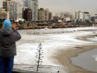 Bajas temperaturas: ¿podría nevar esta semana en la costa bonaerense?