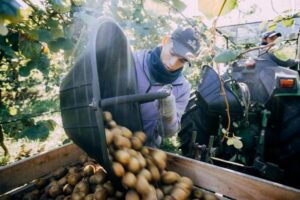 Convocan a productores a participar en la EXPOTAN 2023