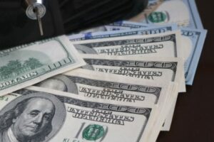 Dolarización y Bimonetarismo. ¿Opción o camino?