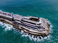 Permanece cerrada la Escollera Sur por casos de gripe aviar en lobos marinos