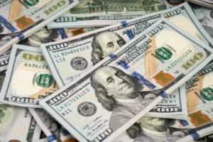 Dolarización o Bimonetarismo. ¿Opción o camino?