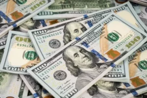 Más de 200 economistas revelan cuáles son los peligros del plan de dolarización de Milei