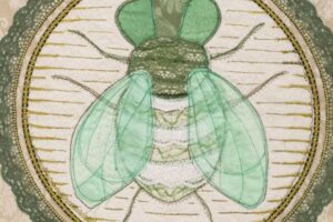 Inauguran una muestra de Yaya Firpo que desarma la iconografía del dólar