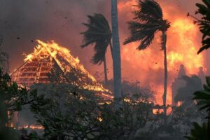 Marplatenses que estaban de vacaciones en Hawái perdieron todo y salvaron su vida de milagro