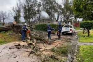 Renuevan alerta meteorológico por lluvias intensas y fuertes vientos