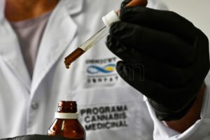 Cannabis terapéutico: ¿qué estudian los laboratorios en el país?