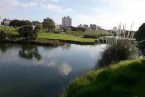 Punta Mogotes recibe a la primavera con el “Festival por los Árboles”