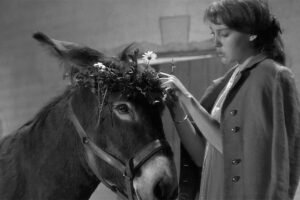 El ciclo “Cine debate” realizará hoy su función semanal