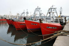 Hubo acuerdo y la flota fresquera quedó liberada para zarpar