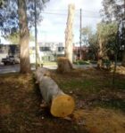 “Tenemos un Municipio que defiende lo privado en lugar de lo público”, cuestionó la Eco Asamblea de Parque Camet