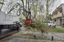 El Municipio retiró más de 130 toneladas de residuos de terrenos privados a través del programa Propietario Responsable.