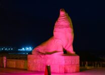 El Palacio Municipal y los lobos marinos se iluminaron de rosa.