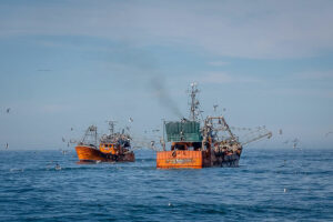 La flota amarilla y el Siconara acordaron aumento del 138,3 por ciento