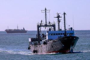 Se canceló otra campaña de investigación del INIDEP.