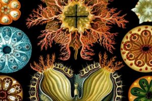 Se realizará un taller interdisciplinario que fusiona el arte con los espacios de la ciudad