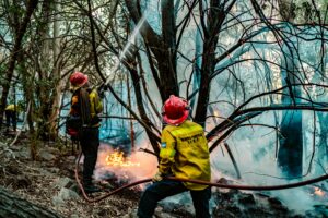 Se registraron focos de incendio en Sierra de los Padres.