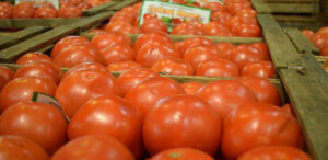 Graves daños en el cordón frutihortícola por temporal de viento, lluvia y granizo.