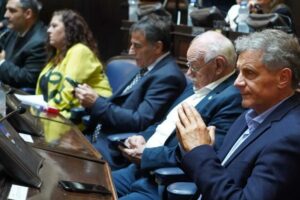 Pulti: “El DNU atropella la constitución y protege a los mercados en lugar de a los argentinos”