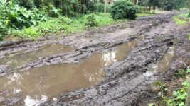 Montenegro se quedó sin materiales, sin personal y sin equipos: El Sur al borde del colapso