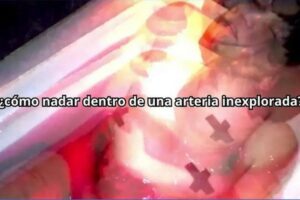 El lunes se verán cortos de estudiantes de la tecnicatura audiovisual de la Universidad